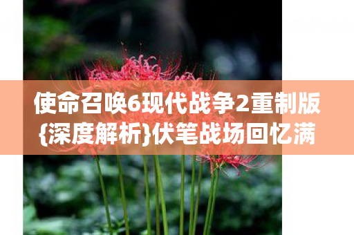 使命召唤6现代战争2重制版图片