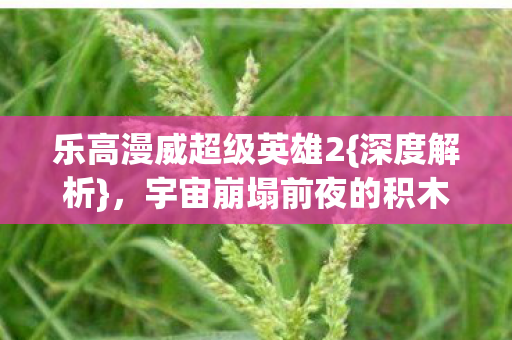 宇宙崩塌前夜的积木守护图片