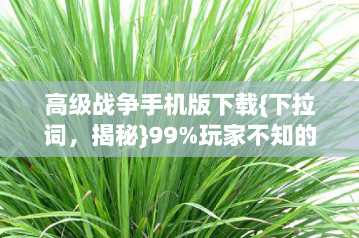高级战争手机版下载图片