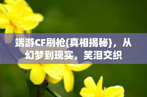 端游CF刷枪{真相揭秘},从幻梦到现实,笑泪交织 端游CF刷枪{真相揭秘},从幻梦到现实,笑泪交织