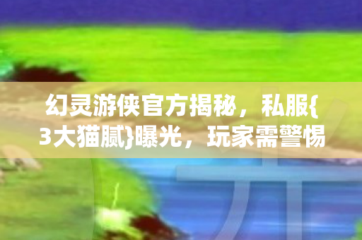 幻灵游侠官方揭秘图片