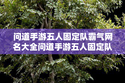 问道手游五人固定队霸气网名大全问道手游五人固定队霸气网名,霸天战队,霸天战队,问道手游五人固定队霸气网名大全 问道手游五人固定队霸气网名大全问道手游五人固定队霸气网名,霸天战队,霸天战队,问道手游五人固定队霸气网名大全