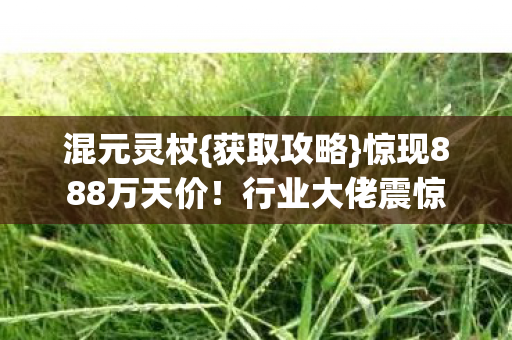 惊现888万天价图片