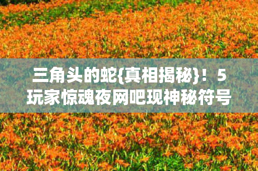 5玩家惊魂夜网吧现神秘符号图片