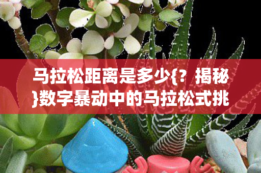 数字暴动中的马拉松式挑战图片