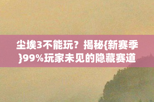 玩家未见的隐藏赛道图片