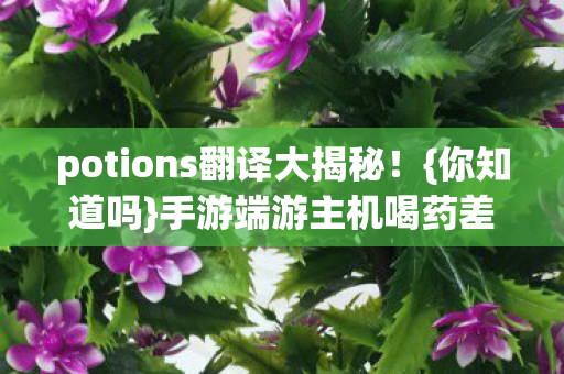 potions翻译大揭秘图片