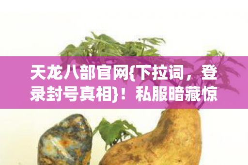 私服暗藏惊天局图片