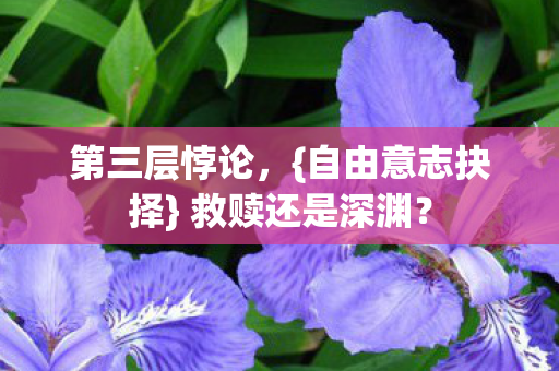 自由意志抉择图片