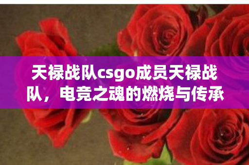 天禄战队csgo成员天禄战队图片