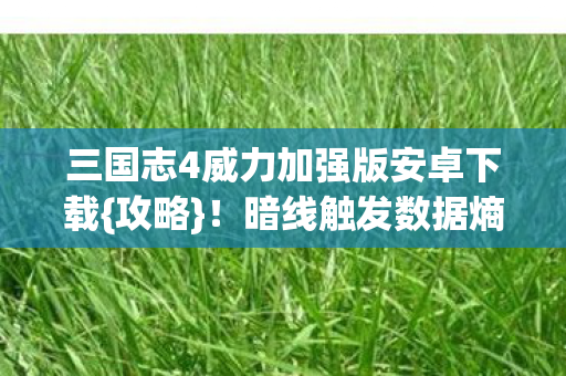 三国志4威力加强版安卓下载图片