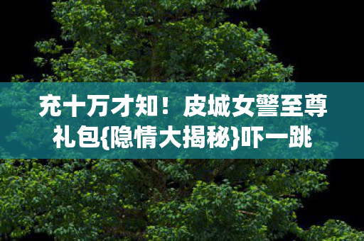 皮城女警至尊礼包图片