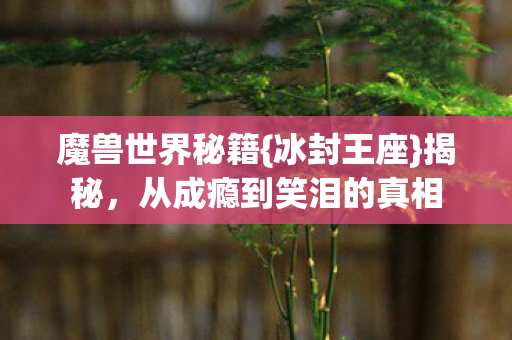 从成瘾到笑泪的真相图片