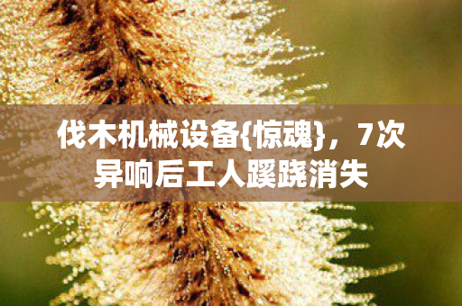 7次异响后工人蹊跷消失图片