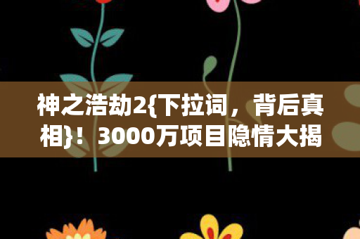 3000万项目隐情大揭秘图片