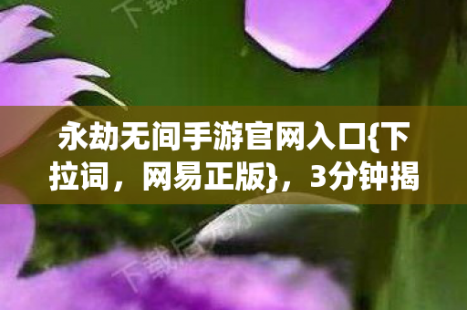 永劫无间手游官网入口图片