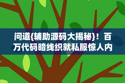 百万代码暗线织就私服惊人内幕图片