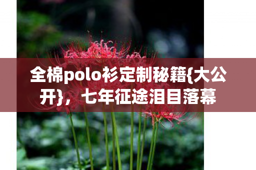 全棉polo衫定制秘籍图片