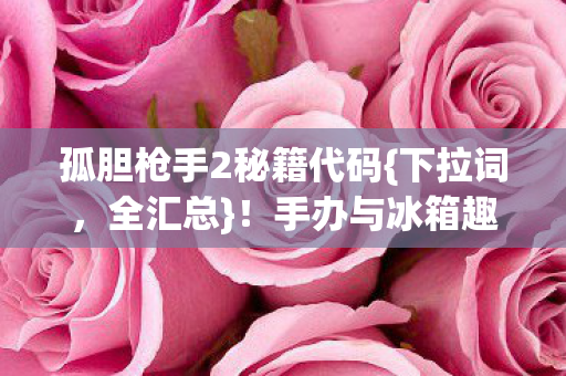 孤胆枪手2秘籍代码图片