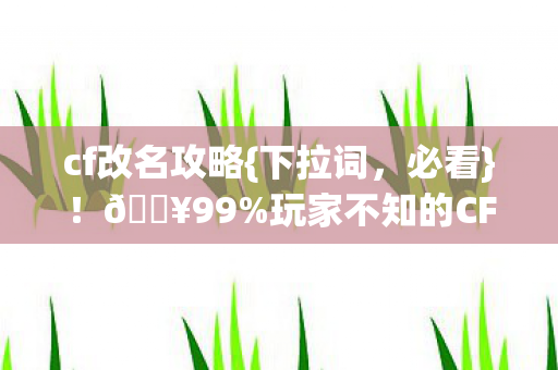 玩家不知的CF改名隐藏操作图片