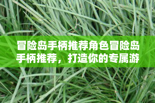 冒险岛手柄推荐角色冒险岛手柄推荐，打造你的专属游戏神器，冒险岛手柄推荐，打造专属游戏神器