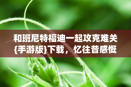 和班尼特福迪一起攻克难关图片