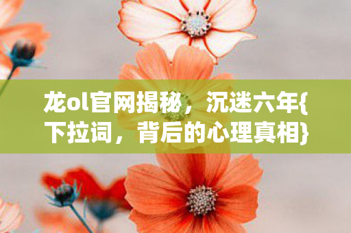 龙ol官网揭秘图片