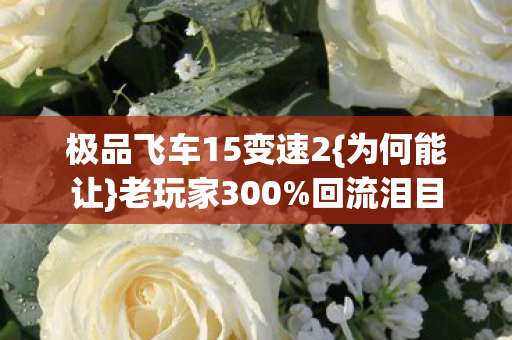 极品飞车15变速2图片