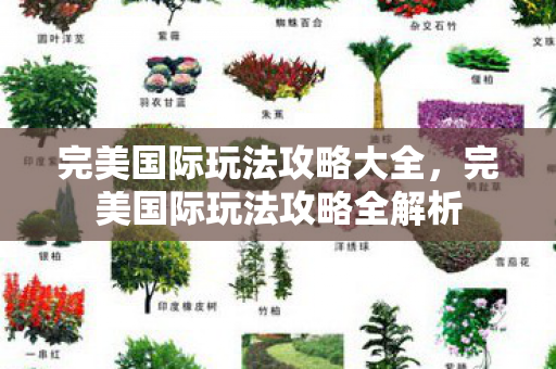 完美国际玩法攻略全解析图片