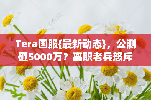 公测砸5000万图片