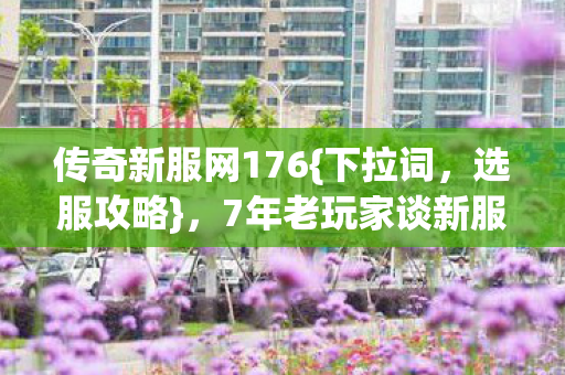 7年老玩家谈新服老服怎么选图片