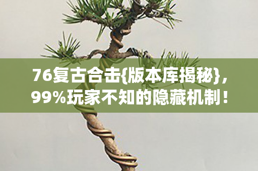 玩家不知的隐藏机制图片