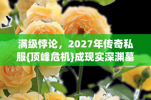 满级悖论,2027年传奇私服{顶峰危机}成现实深渊墓志铭 满级悖论,2027年传奇私服{顶峰危机}成现实深渊墓志铭