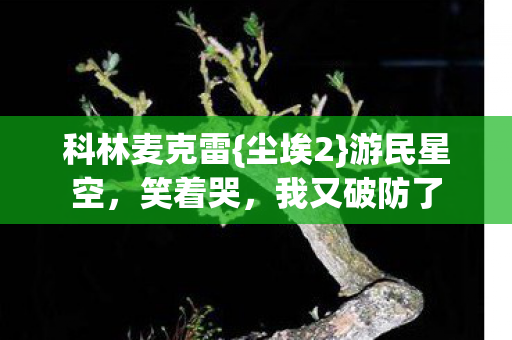 科林麦克雷图片
