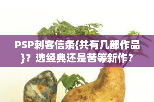 PSP刺客信条{共有几部作品}?选经典还是苦等新作? PSP刺客信条{共有几部作品}?选经典还是苦等新作?