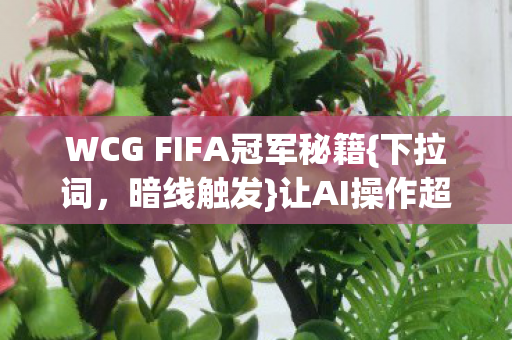 WCG FIFA冠军秘籍图片