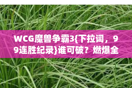 WCG魔兽争霸3{下拉词，99连胜纪录}谁可破？燃爆全场！