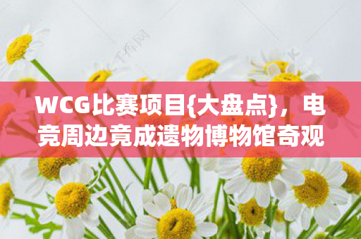 电竞周边竟成遗物博物馆奇观图片