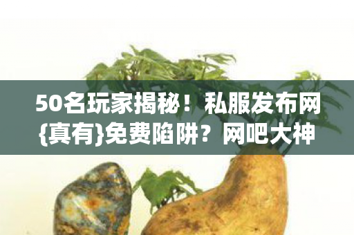 50名玩家揭秘！私服发布网{真有}免费陷阱？网吧大神惊了