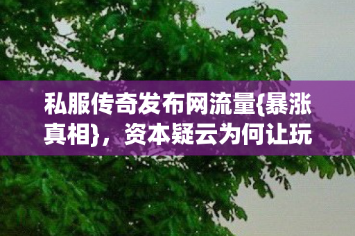 私服传奇发布网流量{暴涨真相}，资本疑云为何让玩家心寒？