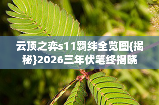 云顶之弈s11羁绊全览图{揭秘}2026三年伏笔终揭晓 云顶之弈s11羁绊全览图{揭秘}2026三年伏笔终揭晓