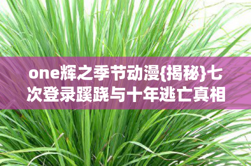七次登录蹊跷与十年逃亡真相图片