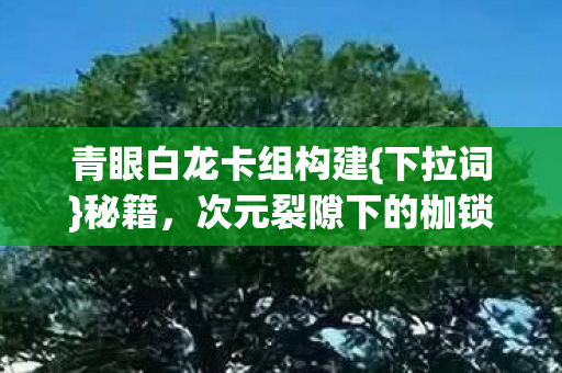 青眼白龙卡组构建{下拉词}秘籍,次元裂隙下的枷锁与自由 青眼白龙卡组构建{下拉词}秘籍,次元裂隙下的枷锁与自由