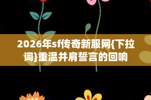 2026年sf传奇新服网图片