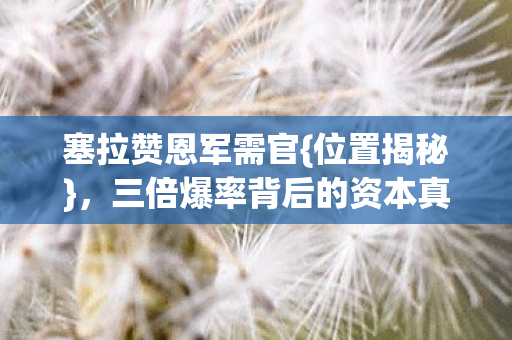 三倍爆率背后的资本真相图片