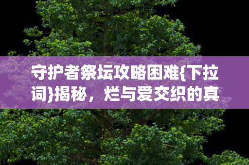 守护者祭坛攻略困难图片