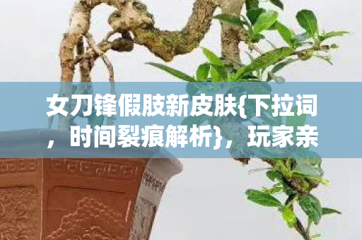 女刀锋假肢新皮肤图片