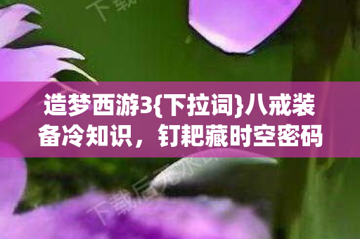八戒装备冷知识图片