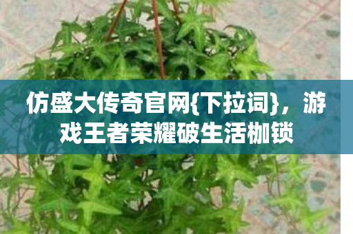 游戏王者荣耀破生活枷锁图片