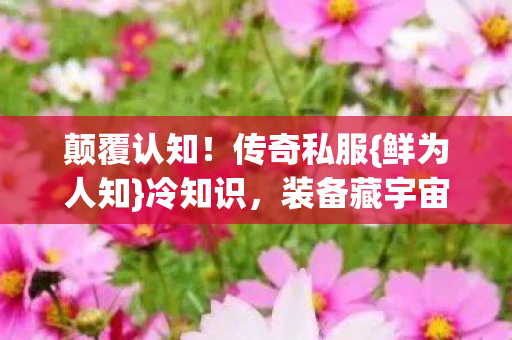 装备藏宇宙密码图片